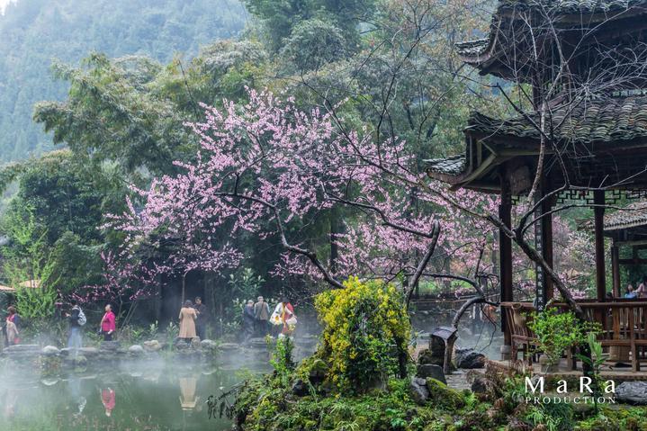 妇科问题多发,这些因素需警惕!来看看医生怎么说!